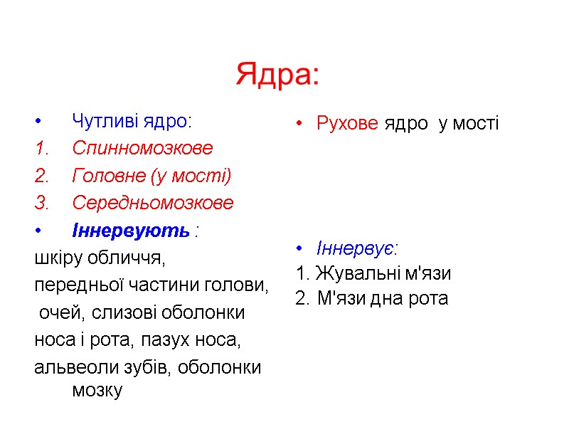 Ядра: Чутливі ядро: Спинномозкове Головне (у мості) Середньомозкове Іннервують : шкіру обличчя,  передньої